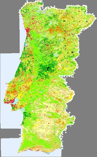 of this work is to present a methodology allowing the mapping of the Alqueva water body based on data from the SEVIRI and VEGETATION instruments.