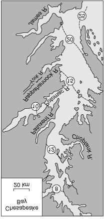 Definition and Formation of Estuaries u Estuary : partially enclosed coastal