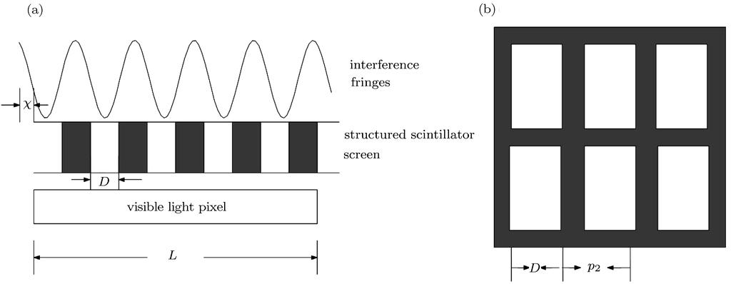 Fig. 1. a The model of detecting interferogram with structured x-ray scintillator screen. b: Schematic of two-dimensional structure. Next, the intensity of one visible light pixel will be considered.