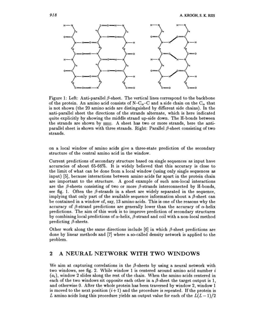 918 A. KROGH, S. K. RIIS H-\ H-\ o=c t,,=c!" {-~ {-H H-\ ' H-\ /=0 f o=c fa /o=c ~-o ~-: Figure 1: Left: Anti-parallel,B-sheet. The vertical lines correspond to the backbone of the protein.