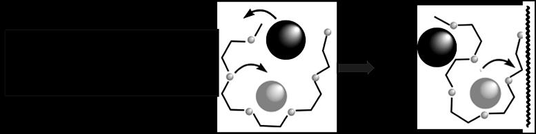 Figure 1b presents the first step in the transfer of a cation between chains. Anions may also be involved as part of either as ion pair or an ion triplet.