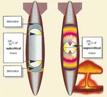 Scientists can induce nuclear reactions by bombarding nuclei with radiation.