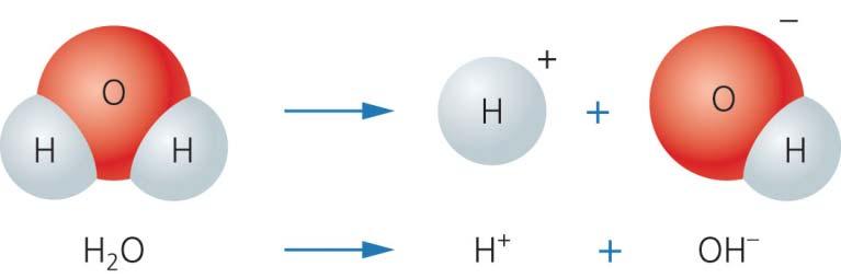Water is actually slightly ionic. It will break down to H + and OH.