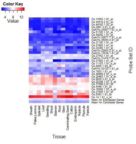 Figure 3.4 Heat map depicting expression of candidate genes across 15 tissues. Using published microarray expression data (Wang, Yu, et al.