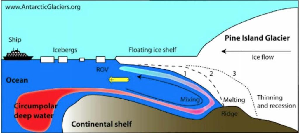 West Antarc>c Ice Sheet collapse?