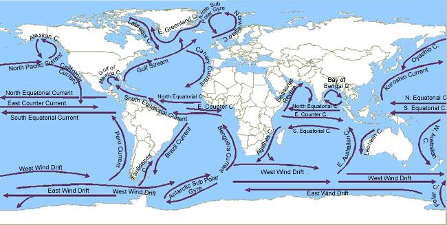 Slide 66 / 87 Oceanic Circulation System The map shows the oceanic circulation (gyre) system.