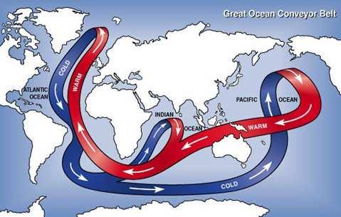 Slide 68 / 87 Global Conveyor Belt Deep ocean currents are fueled by differences in the temperature and salinity of the waters, in what is known