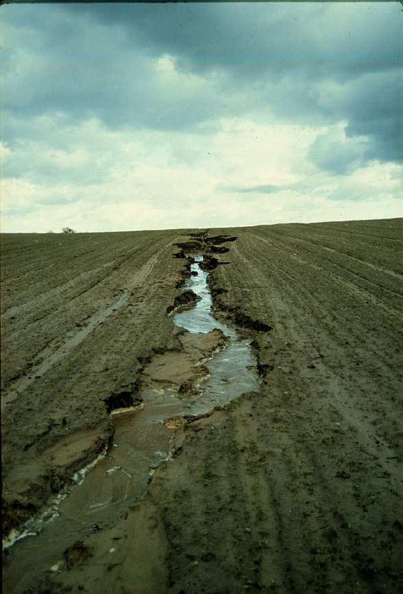 Slide 85 / 87 Erosion and Weathering: Activity 1
