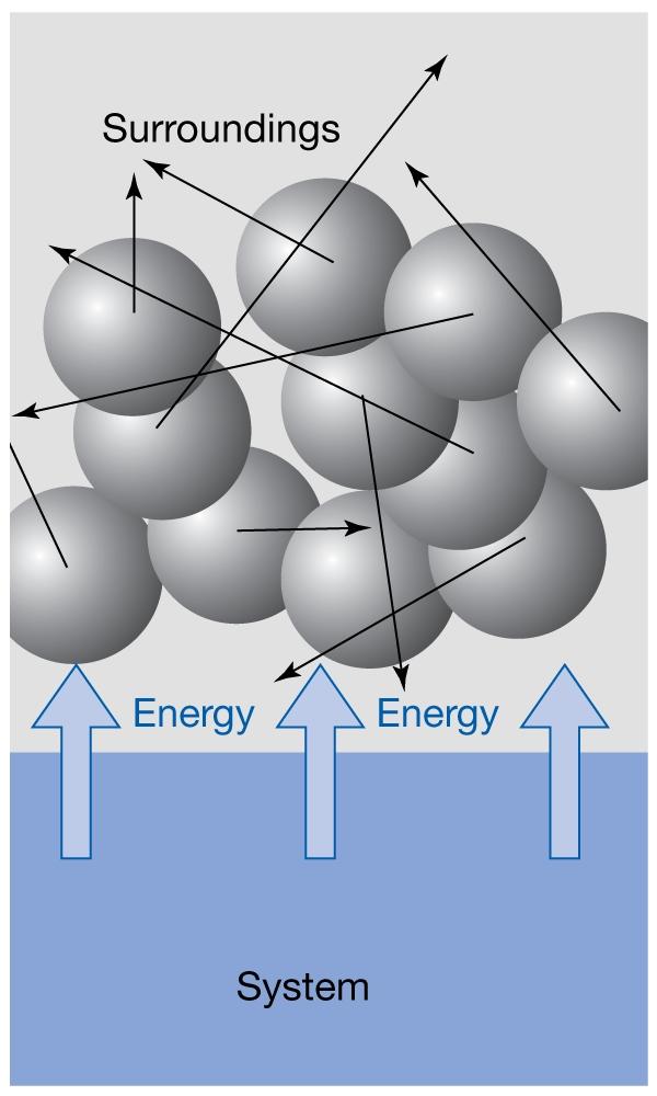 Biological Thermodynamics Work (W) and Heat (Q) ΔU= W + Q Work involves the