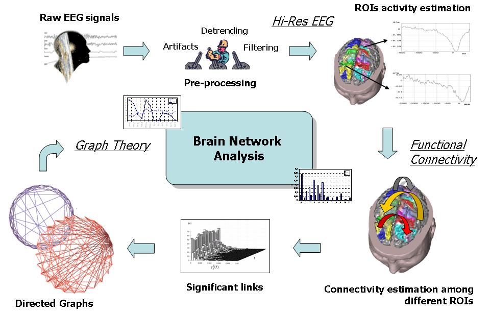 Brain functional networks De Vico