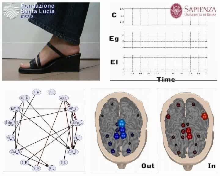 Results Time-Varying Network Architecture Cortical network Degree
