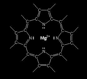 away from the porphyrin rather than returning directly to the ground state. This high-energy electron is used to initiate photosynthesis. 14.4-2. Heme Figure 14.
