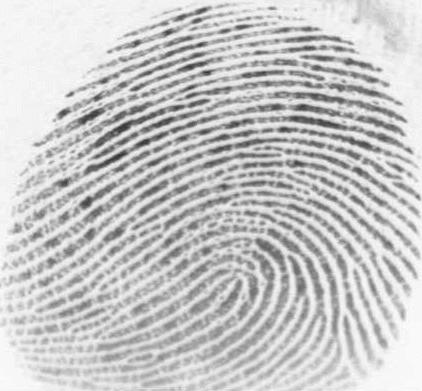 Data Flood: Fingerprints Here is a fingerprint found after