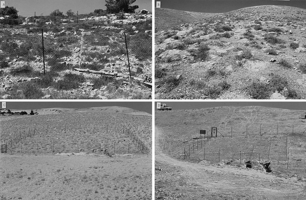 A.C. Imeson, H. LaÕeer Geomorphology 23 (1998) 219 227 Fig. 3. Process pattern phenomena at four positions along the Judean Desert transect.