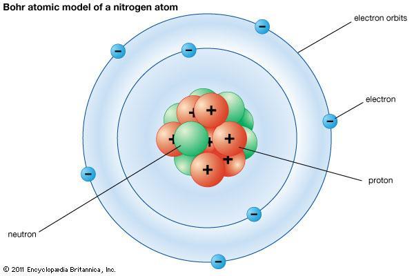 5 Bohr Model: Even though this model is not correct, we use it to easily visualize what is happening with protons, neutrons and electrons. How do we know that this model is Nitrogen?