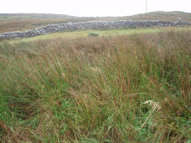 Irish Semi-natural Grasslands Survey: Counties Cork and Waterford BEC Consultants 2008 Distribution This sward type is very frequent in