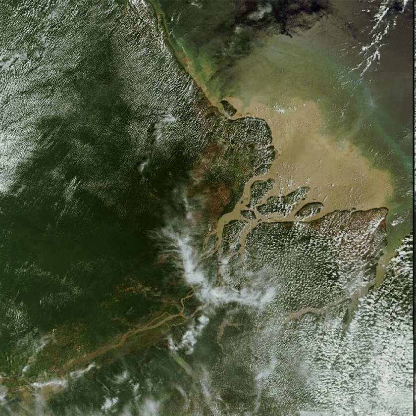 Picture of sediment deposition of the Amazon