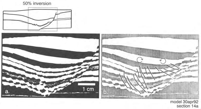 126 G. EISENSTADT & M. O. WITHJACK 50% inversion model 30apr92 section 14a Fig. 8. (a) Close-up photograph of 50% inversion model. Sketch indicates location.