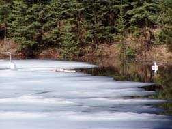 Break-Up, Lake Ice Freeze-up and Lake Ice Break-up Protocols, River Ice