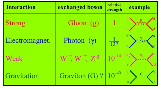 The four fundamental forces are carried by vector field particles - bosons If you