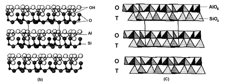 văzută din direcţia axului a, reprezentată cu atomi (b) şi cu poliedre de coordinare în care se observă straturi cu succesiunea T/O Lizardit Mg6[Si2O5]2(OH)8