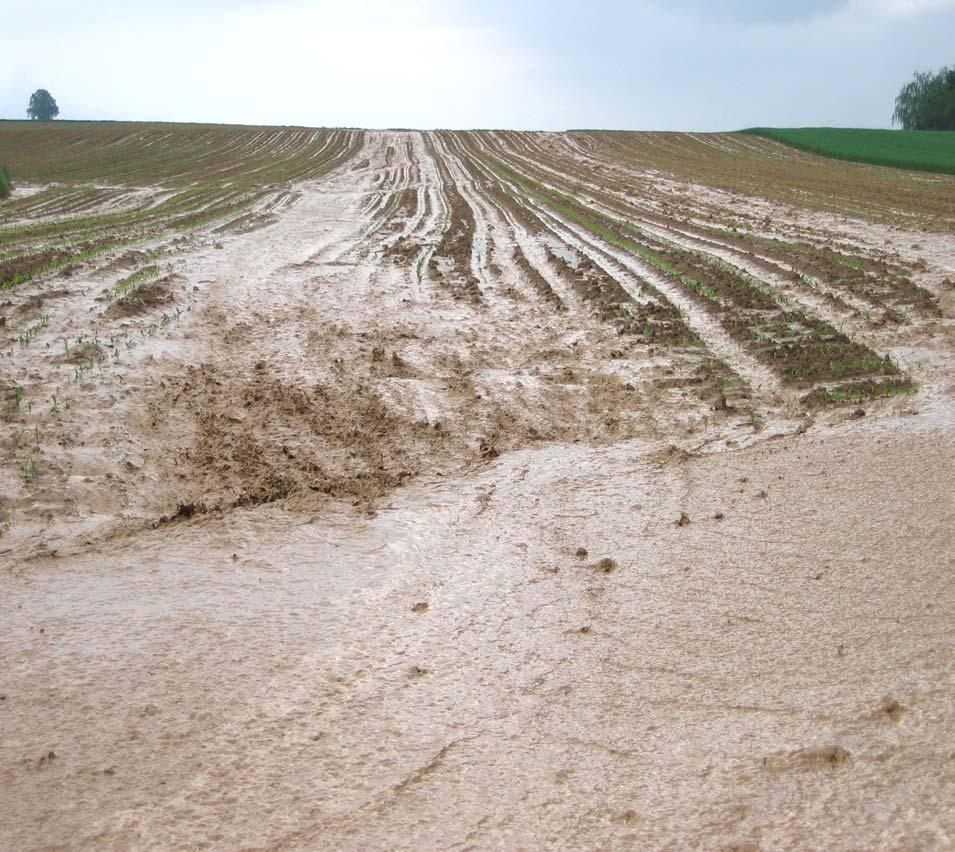 Context: erosion problems in the Alsace In the Alsace: overland flow and soil erosion