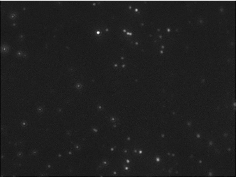5 x10 8 particles/ml Same sample, 565 nm Long pass optical