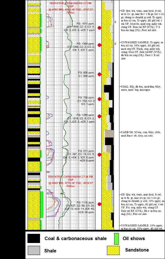 Figure 2. Formation evaluation log of the Carbonera C7 section from a well of the Caracara Sur field.