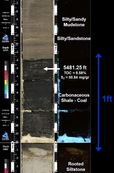 Figure 3. Core photo of a carbonaceous shale/coal bed from the Carbonera C7 section that exhibits high TOC (9.
