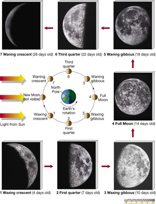 New Moon How long does it take to complete the full cycle of Moon