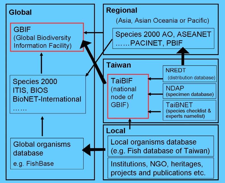 Figure 3. Integration of Taiwan Biodiversity National Information Network with global databases. 3 CONTENT OF TAIBIF 3.