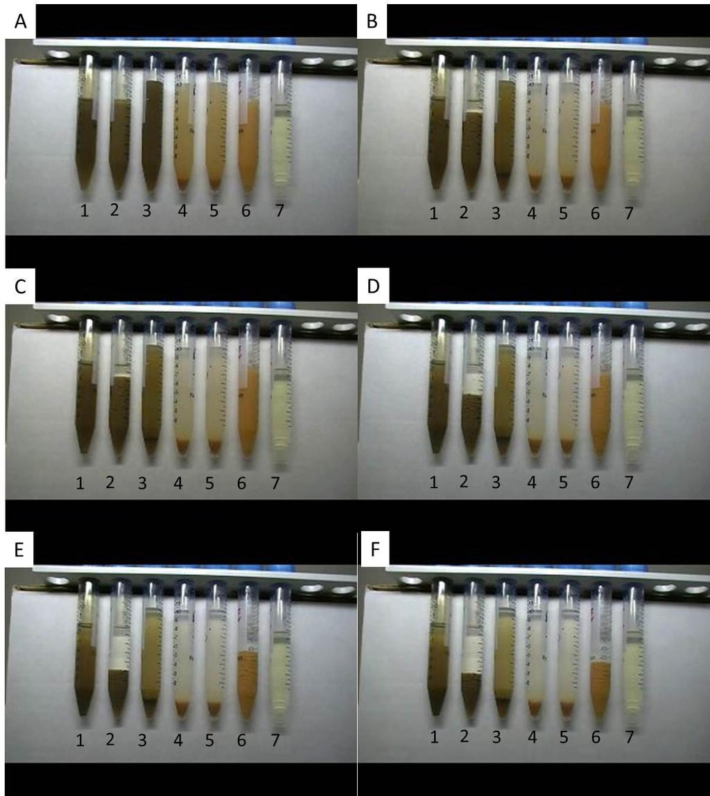 Figure A6: Screen capture images of a video demonstrating floc formation in aqueous suspensions containing bare iron and silver-citrate nanoparticles after L to R: 1) Fe particles, no soil, mixed for