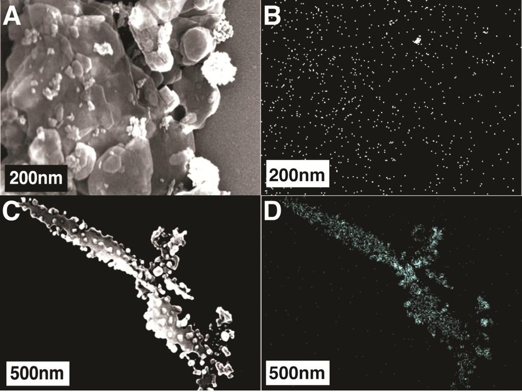 Figure 2.9: HD2000 TEM imaging of batch sorption studies of silver citrate nanoparticles to sediment suspensions [25 g/l] with [Ag]=1000 ppm and [NaCl]=0.