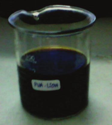 LiOH polymer electrolyte as function of LiOH weight fraction.