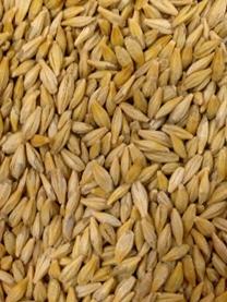 Wheat 6 250 6 classes Protein 12%MB Barley 5 100