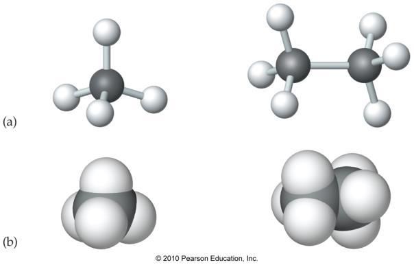 Alkanes Alkanes are hydrocarbons that contain only single bonds.