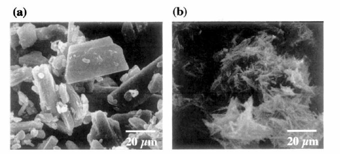 Adsorption of water vapor and mannitol polymorph stability Δ Mannitol before exposure to 97% R.H.