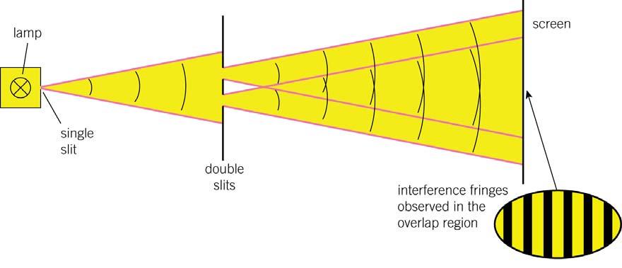 Figure 3 Young s double slits Each bright fringe is formed where light waves from each slit arrive in phase so they reinforce one another.