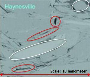 data and on upscaled data. By determining pore aspect ratios of the formation, we can better understand elastic properties of the Haynesville Shale.