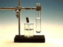Chemical Reactions in Water EXCHANGE REACTIONS Pb(NO 3 ) 2 (aq) + 2 KI(aq) PbI 2 (s) + 2 KNO 3 (aq)