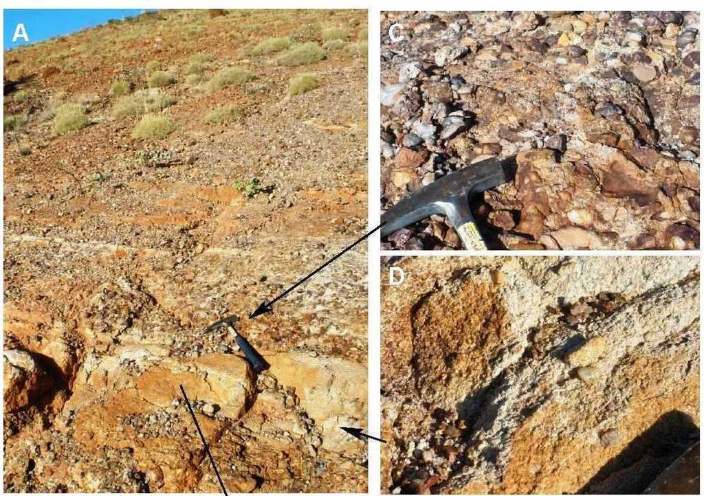 Figure 7-6: Outcrop of Hardey Formation immediately south of the area of historic gold mining at Beatons Creek (RJS locality A, GDA94: 5 K 99654 m E, 757787 m N).