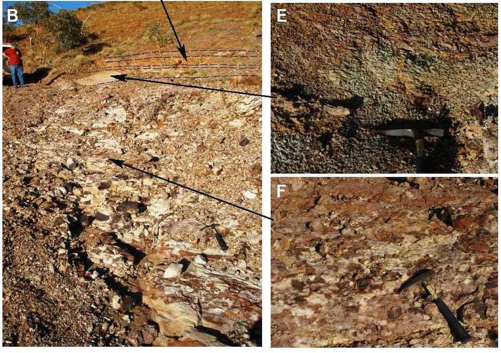 Thin, fine grained tuffaceous horizons (E) occur at the top of this sequence and throughout the overlying (orange-brown weathering in A, B) well stratified,