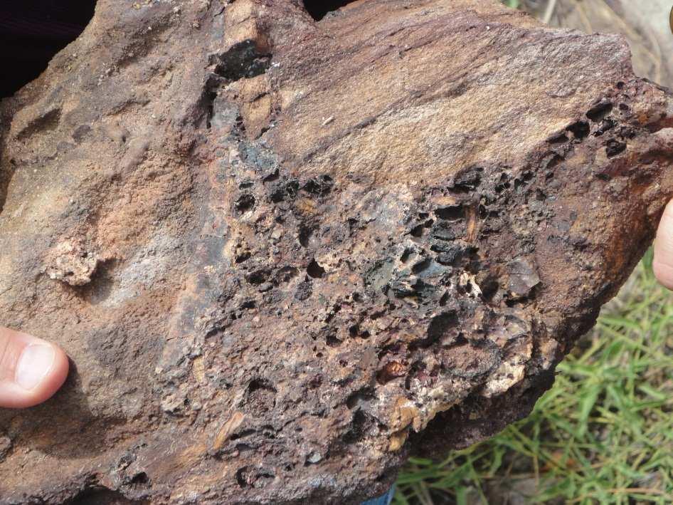 Figure 2-3: Remnant buckshot pyrite voids in mineralised specimen Table 2-: Drill Collar Checks Hole ID GDA E GDA N GDA RL 4.78 Garmin E 26 Garmin N 7577864 Garmin RL 44 BCRC283 23.