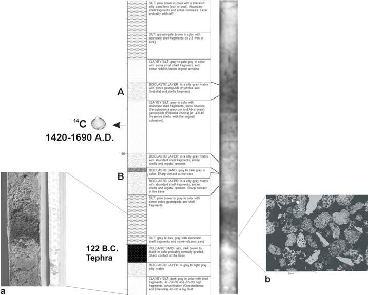 Fig. 3 - Priolo area: OPR-S11 log compared with X-Ray film (on the right), please note how the bioclastic and volcanic layers show up on the film; a) detail of the tephra layer; b) SEM picture of the