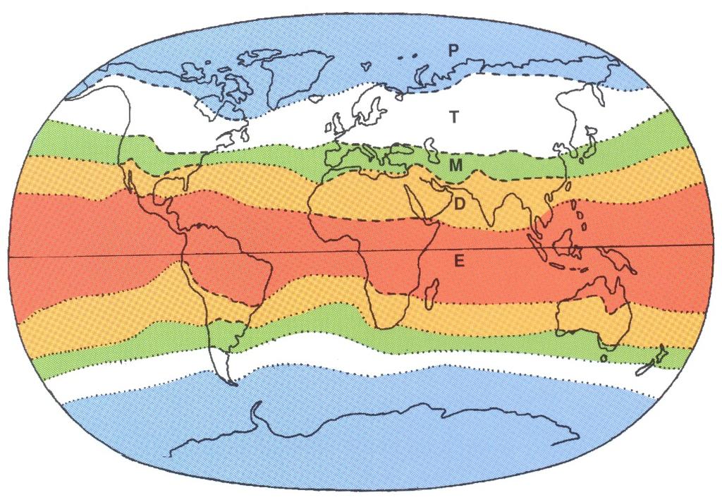 THE CLIMATE CHANGES IN THE UPPERMOST MIOCENE THE CLIMATIC-BELT FLUCTUATIONS The diagram exemplifies the Present-day ( cold stage ) situation Key line: the temperate-tropical boundary P: Polar belt T: