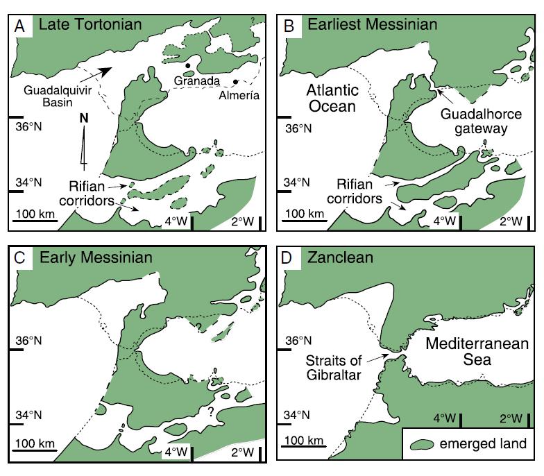 LOWER PLIOCENE,TEMPERATE-CARBONATE DEPOSITION IN THE WESTERN MEDITERRANEAN During the Early Pliocene the closure of the Rifian Straits and the