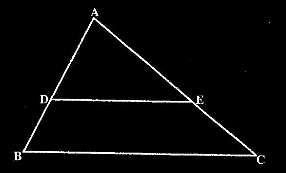 GRADE 12 GEOMETRY The Concept of Proportionality (Revision) A 6 cm B 4 cm C D 9 cm E 6 cm F AB : BC = 6 : 4 = 3 : 2 and DE : EF = 9 : 6 = 3 : 2 Although, AB : BC = DE : EF it does NOT mean that AB =