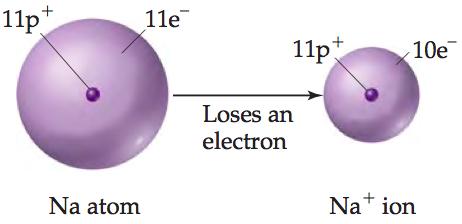 Ions The nucleus of an atom is unchanged by chemical processes, but atoms can readily gain or lose electrons.