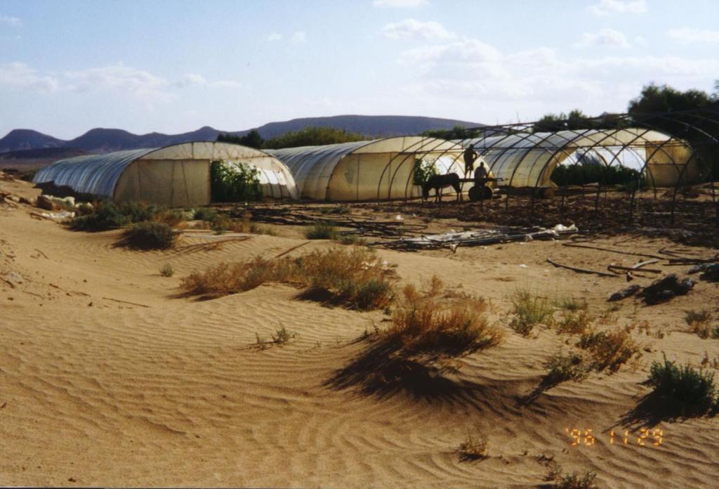 Geothermal Greenhouses in Tunisia Replace cooling towers to cool irrigation water from deep wells in the