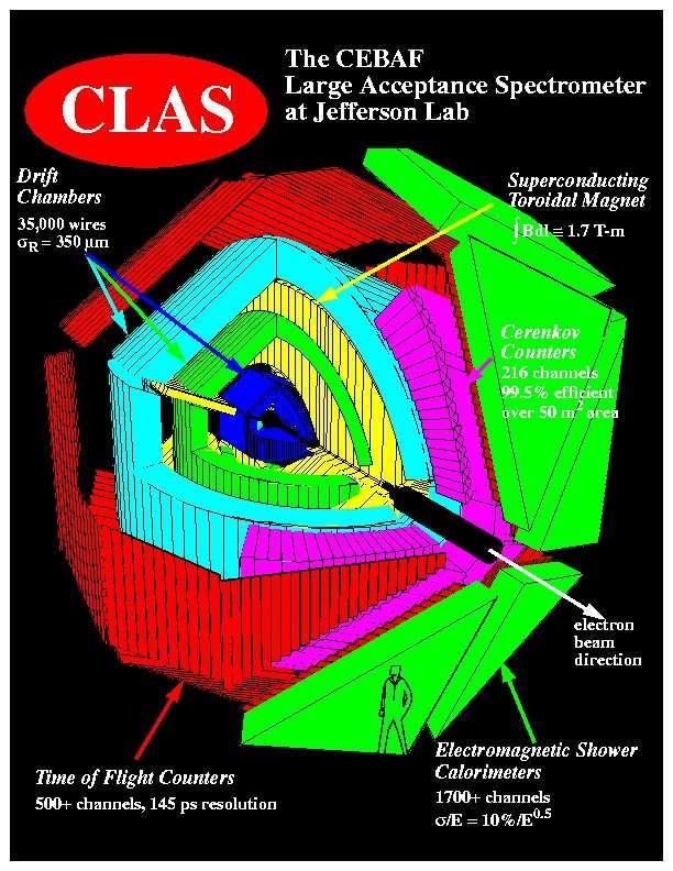 The CEBAF Large Acceptance Spectrometer (CLAS) The CLAS is a large solid angle device built around six, superconducting coils that produce a largely toroidal magnetic field.